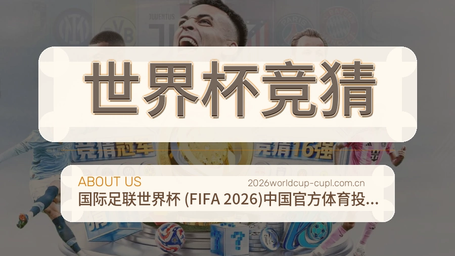 世界杯竞猜服务范围介绍